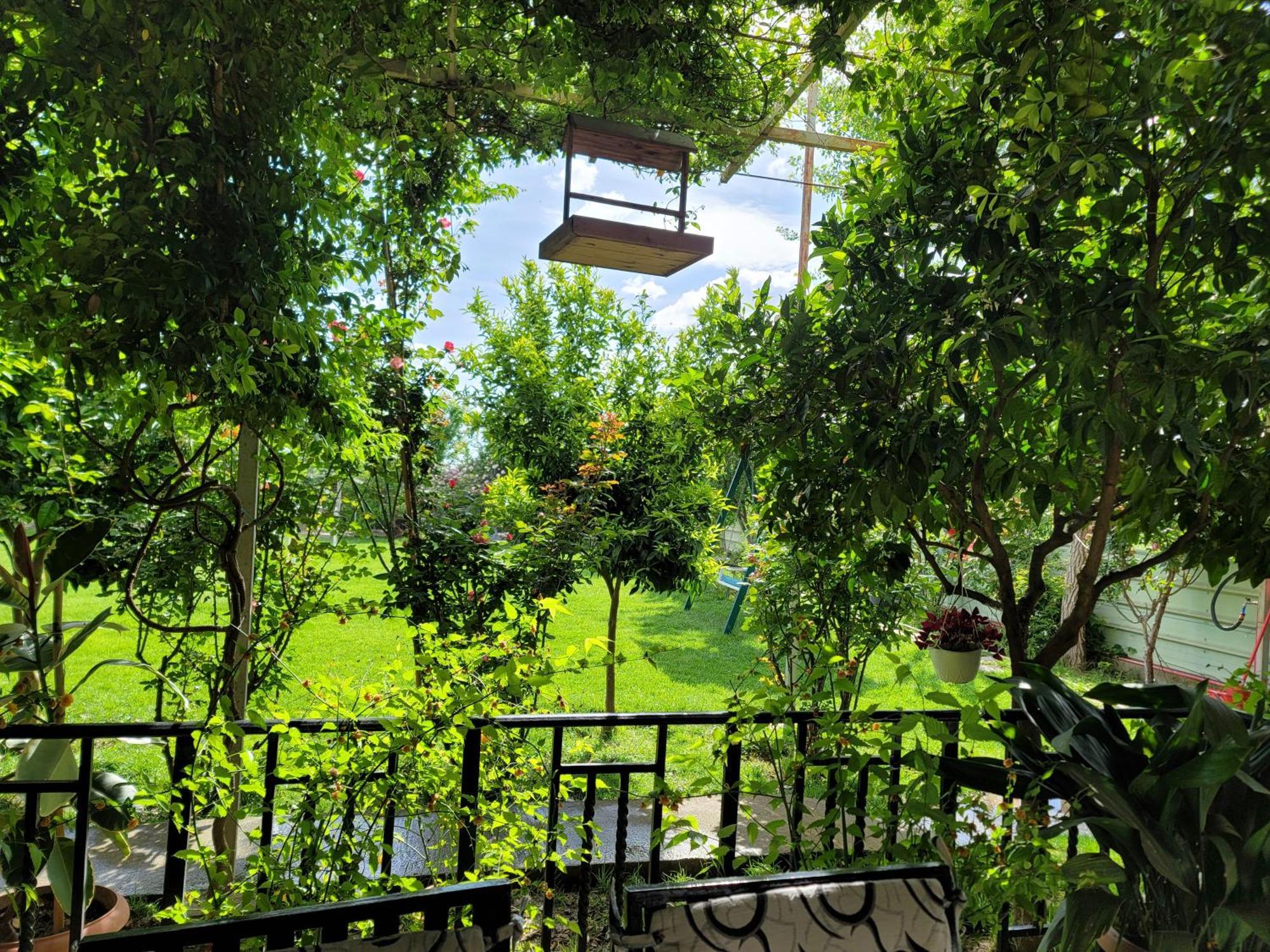 Room With Private Garden Shkodër Exterior foto